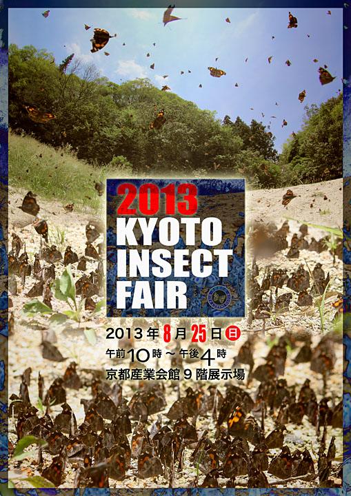 2013insectfair-2