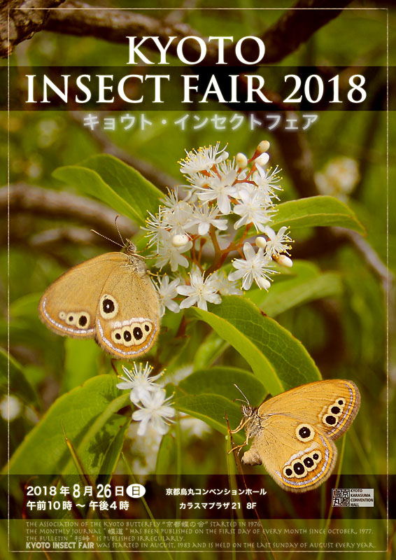 2018insectfair