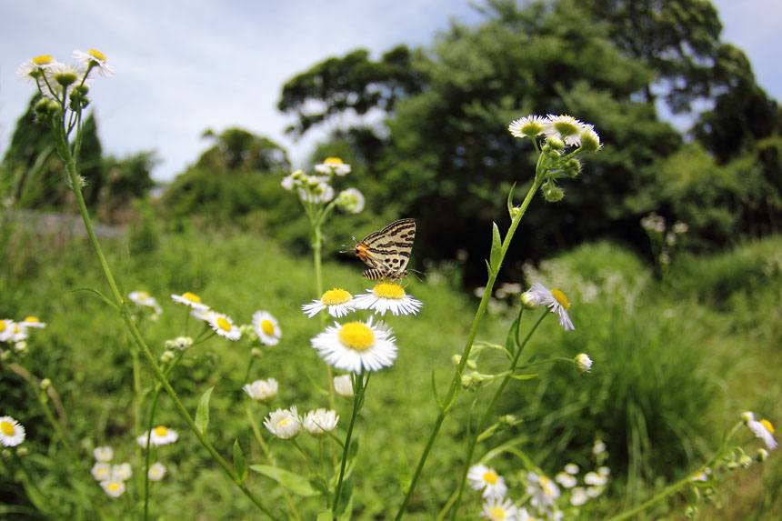 IMG_0425kimaruri