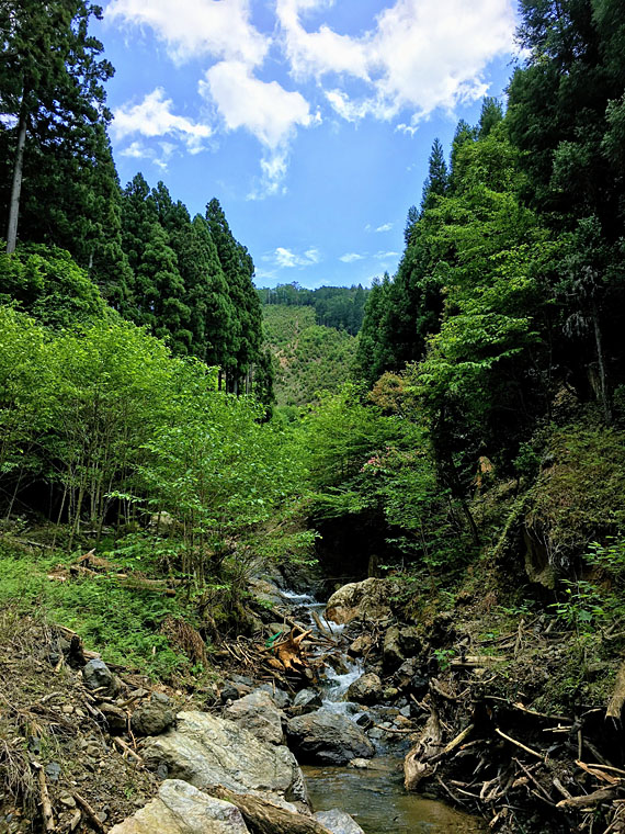 IMG_3501sinryoku