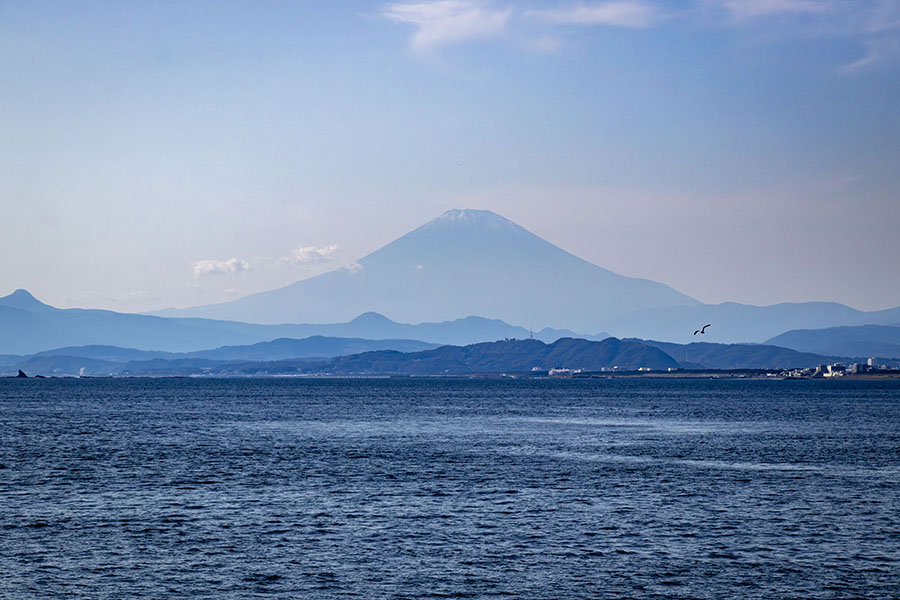 IMG_3208fujisan